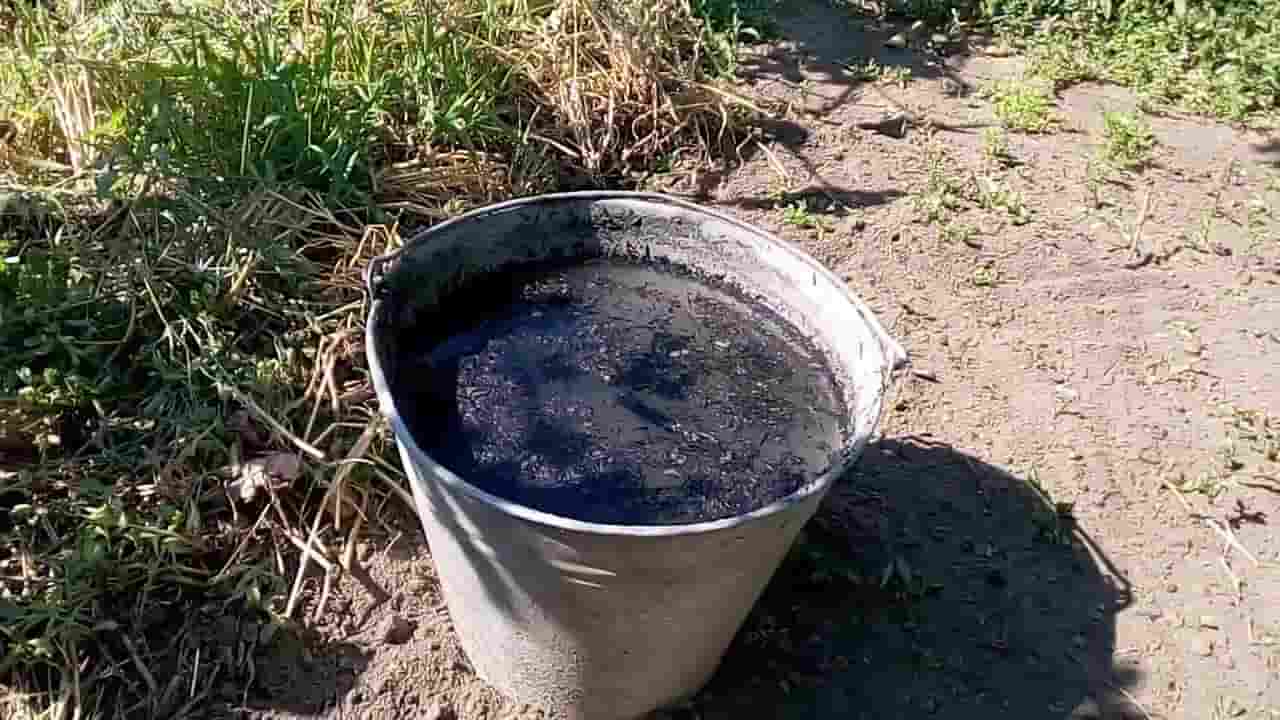 تصویر 1 از کود مرغی ژله‌ ای با آزاد سازی کنترل شده